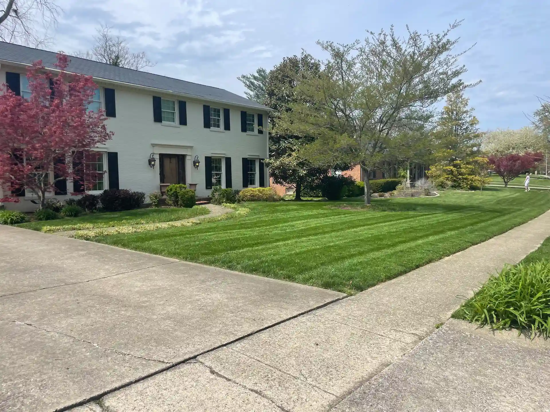 Freshly Cut Grass
