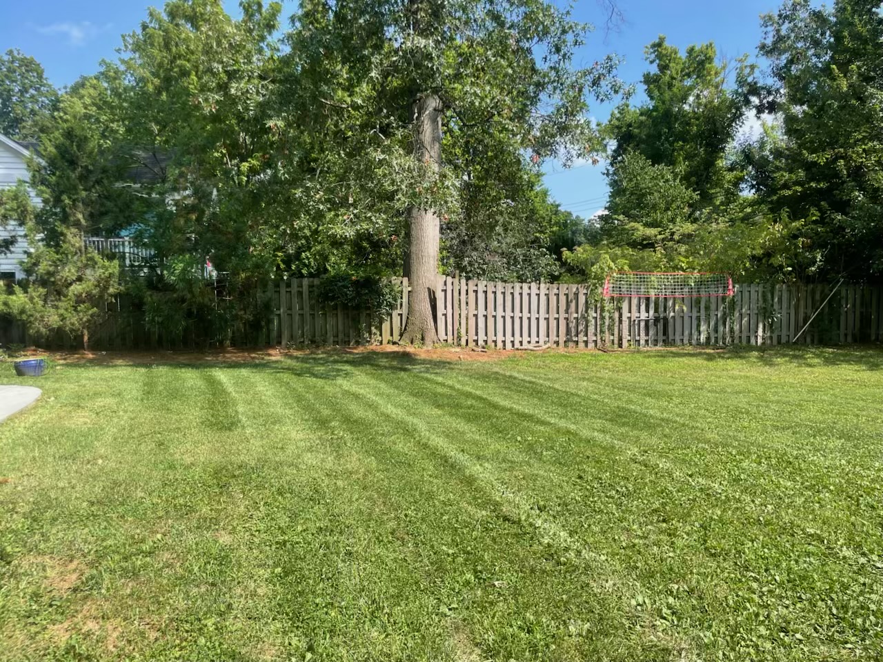 Lawn Care Work 15